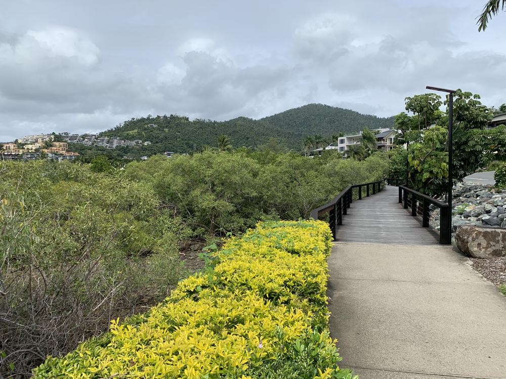 Finding the purest sand of the world near Airlie Beach