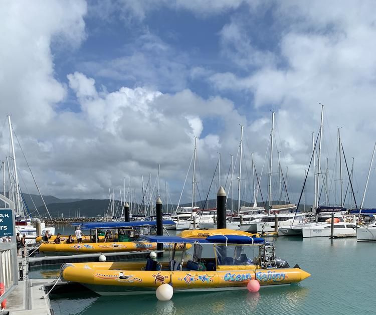 Finding the purest sand of the world near Airlie Beach