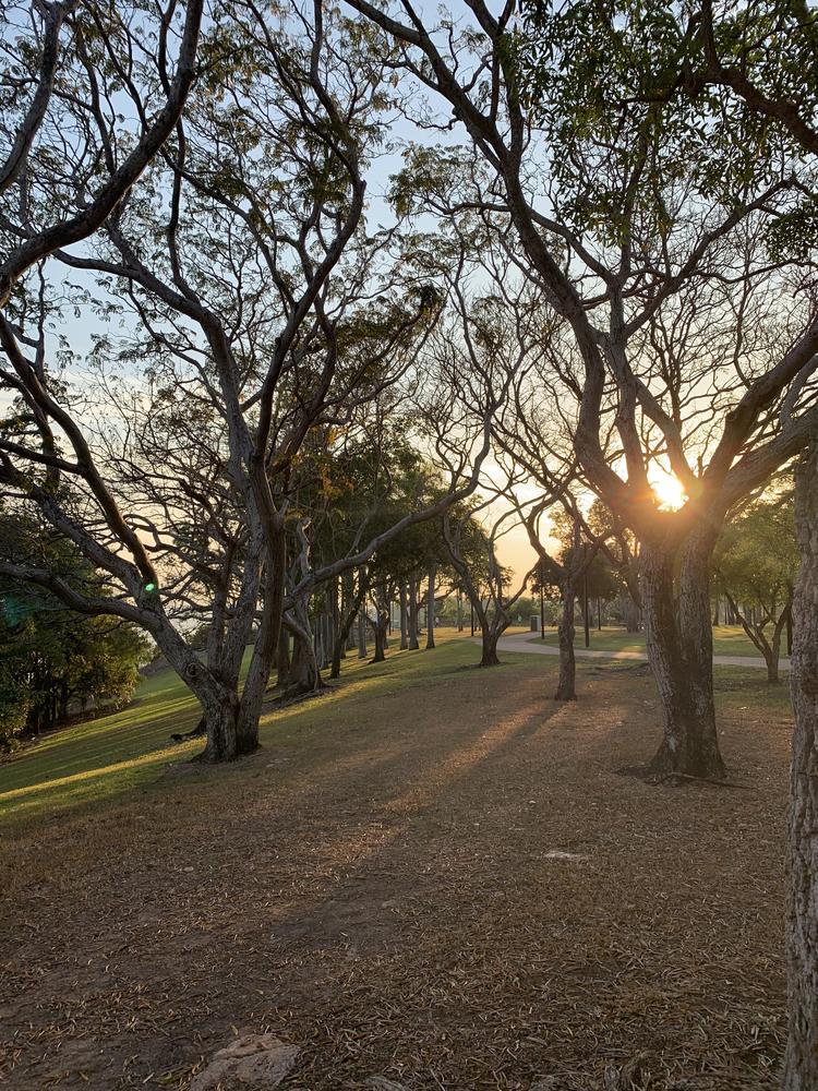 Disillusioned far up north in Darwin