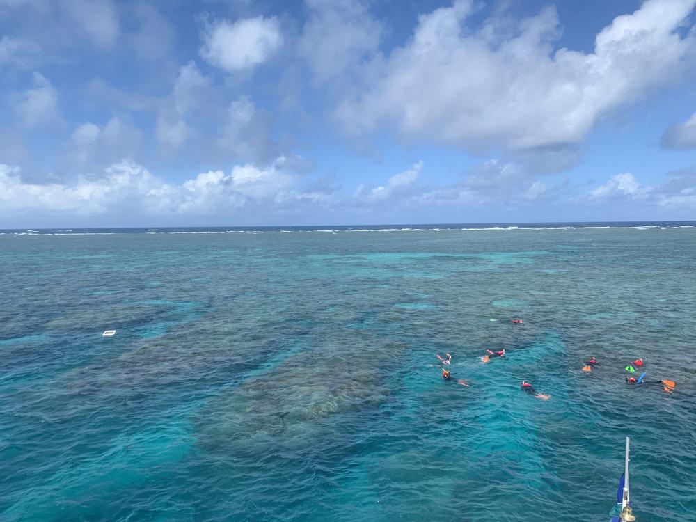 Scuba diving in the Great Barrier Reef