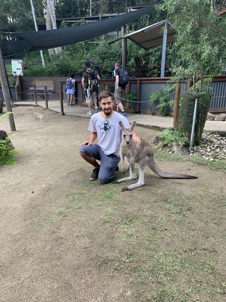 Meeting my koala princess in Kuranda