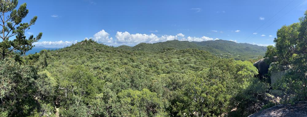 Magnetic Island - A great destination for animal and hiking lovers