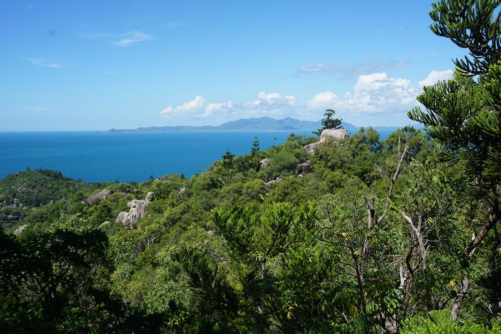 Magnetic Island - A great destination for animal and hiking lovers