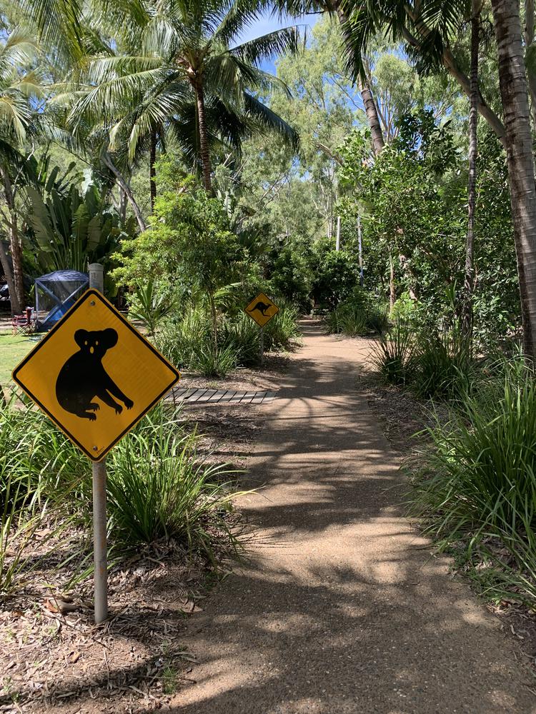 Magnetic Island - A great destination for animal and hiking lovers