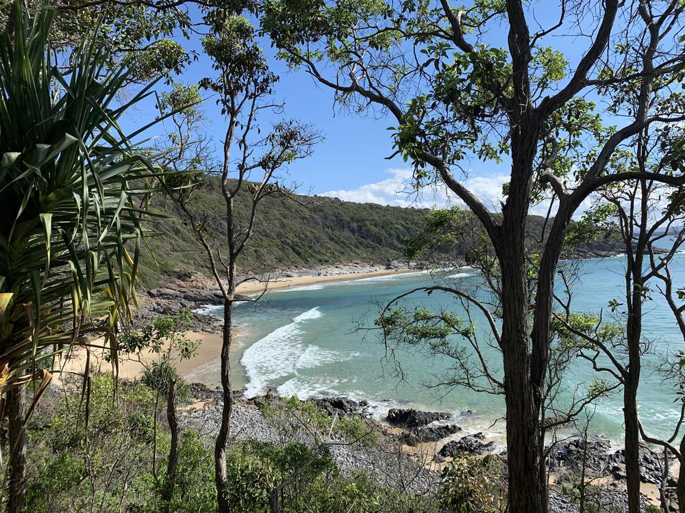 Getting surfer vibes on the Sunshine Coast (or not)