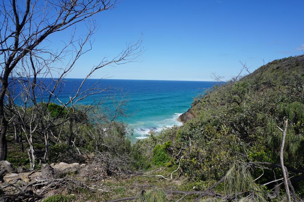 Getting surfer vibes on the Sunshine Coast (or not)