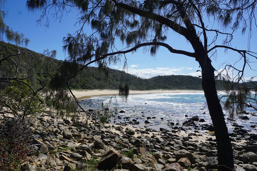 Getting surfer vibes on the Sunshine Coast (or not)