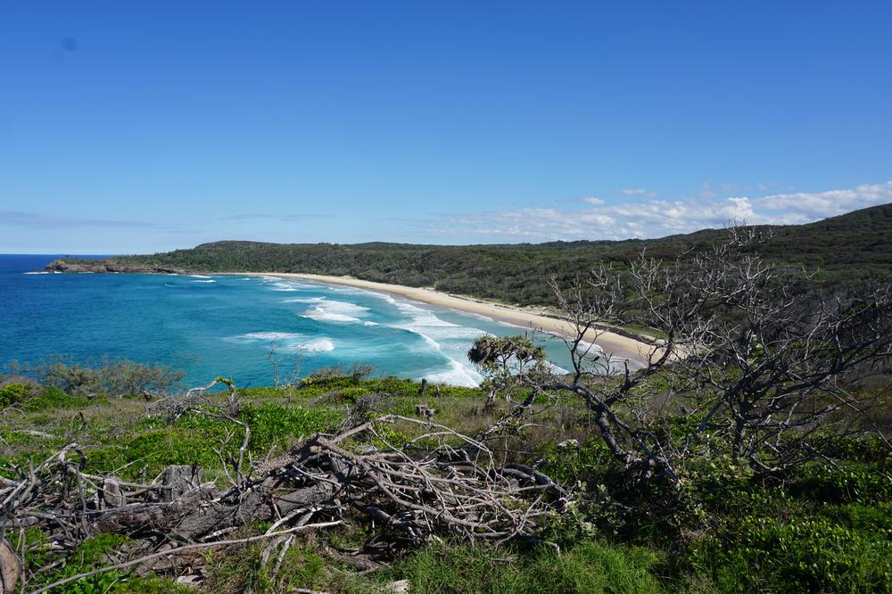 Getting surfer vibes on the Sunshine Coast (or not)