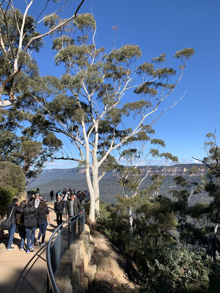 Sydney (II) - Blue Mountains & Beach walks