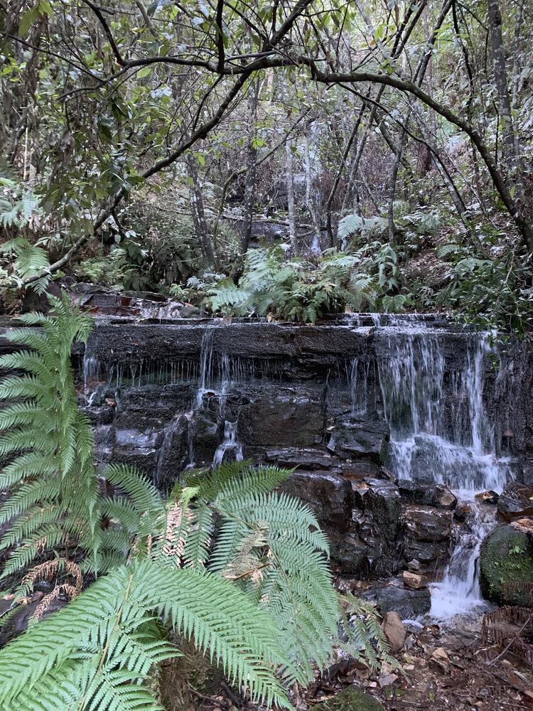 Sydney (II) - Blue Mountains & Beach walks