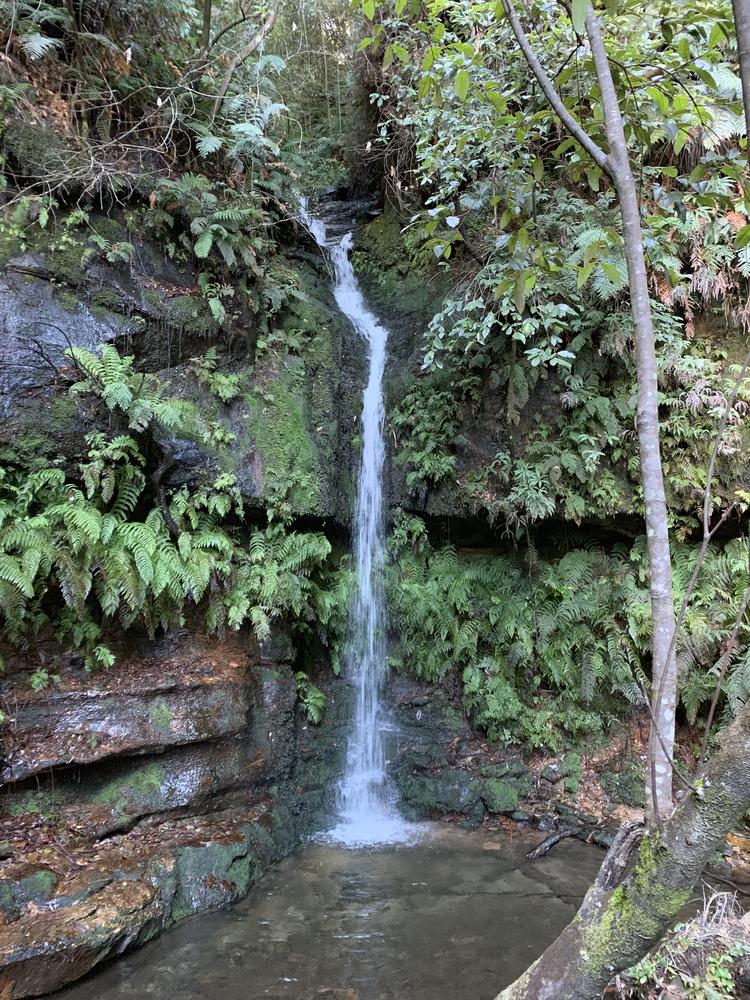 Sydney (II) - Blue Mountains & Beach walks