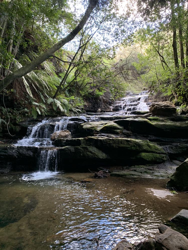 Sydney (II) - Blue Mountains & Beach walks