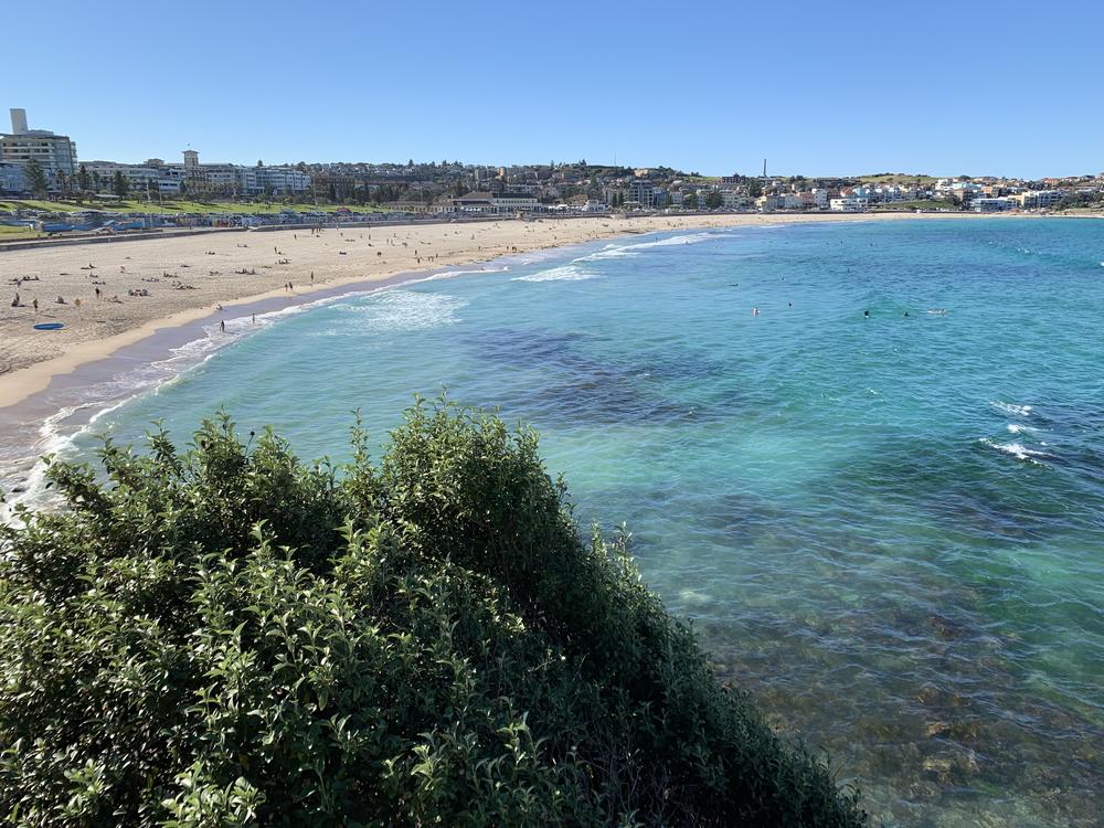 Sydney (II) - Blue Mountains & Beach walks