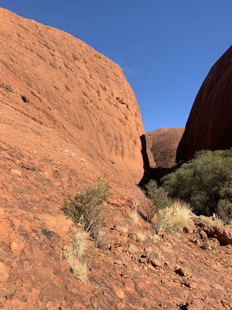 Uluru (II) - Many Heads, Kings Canyon & Milky Way