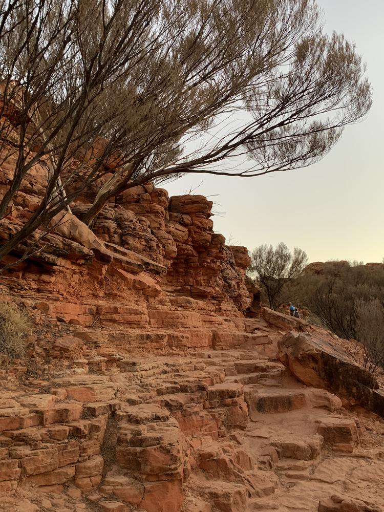 Uluru (II) - Many Heads, Kings Canyon & Milky Way