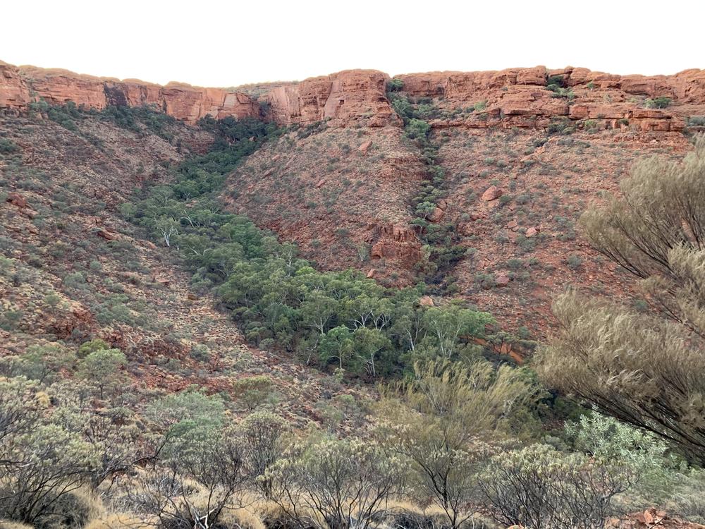 Uluru (II) - Many Heads, Kings Canyon & Milky Way