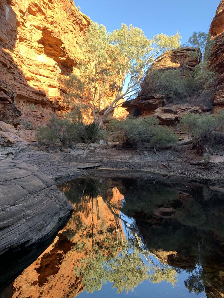 Uluru (II) - Many Heads, Kings Canyon & Milky Way