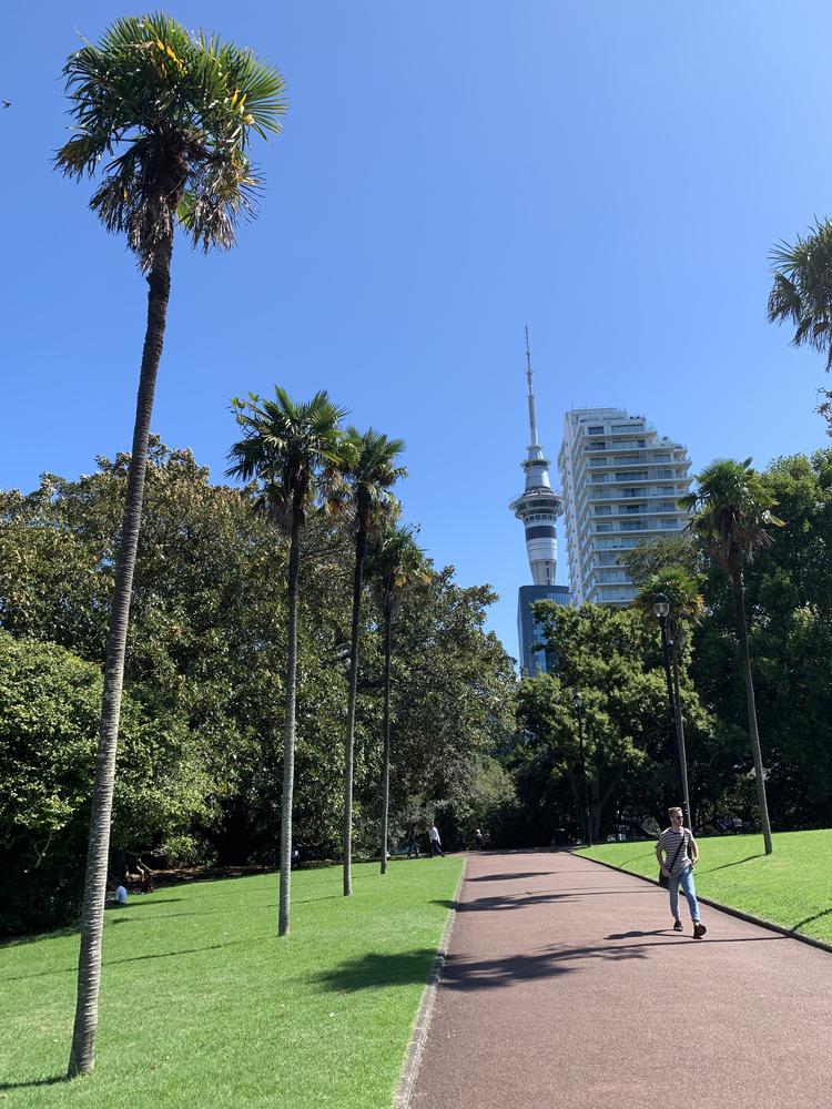 Auckland - The Metropolis of Volcanos and Sails