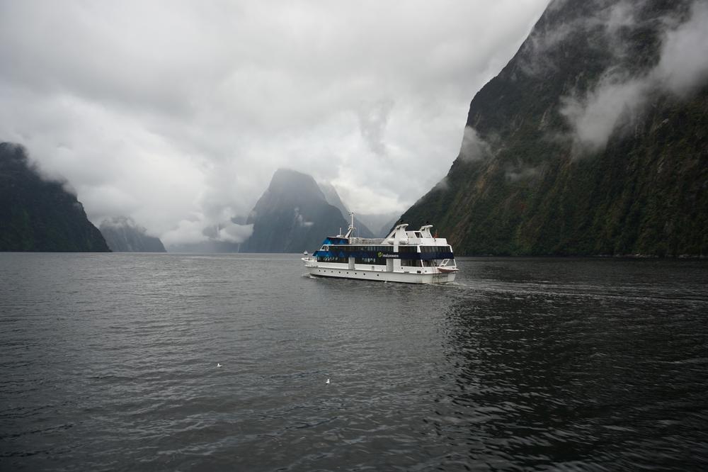 The rainy fjords of Milford Sound