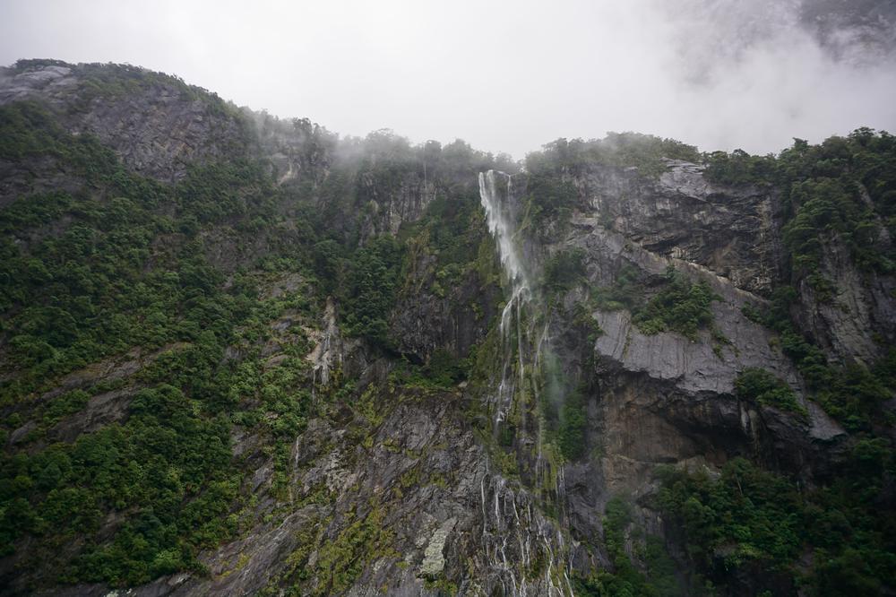 The rainy fjords of Milford Sound