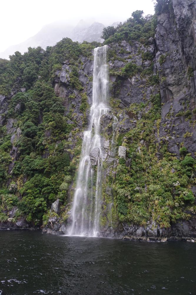 The rainy fjords of Milford Sound