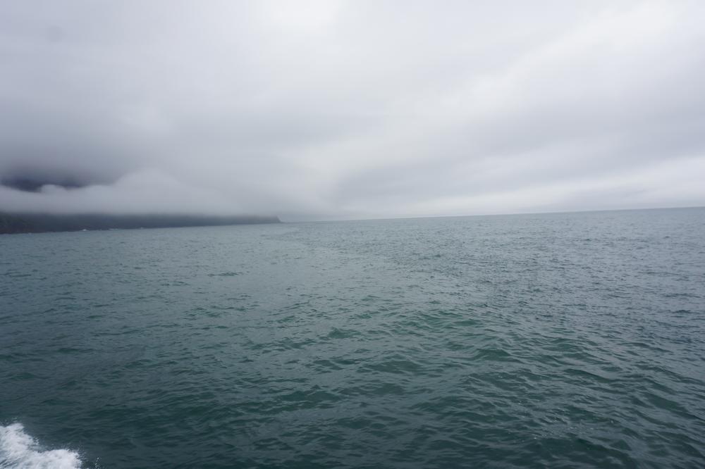 The rainy fjords of Milford Sound