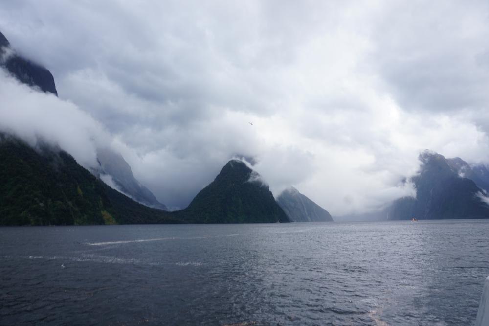 The rainy fjords of Milford Sound