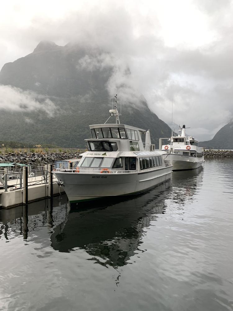 The rainy fjords of Milford Sound