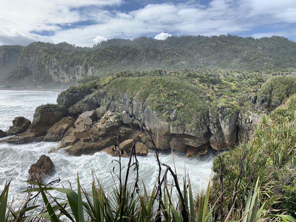 Nelson: Golden sand in Abel Tasman National Park