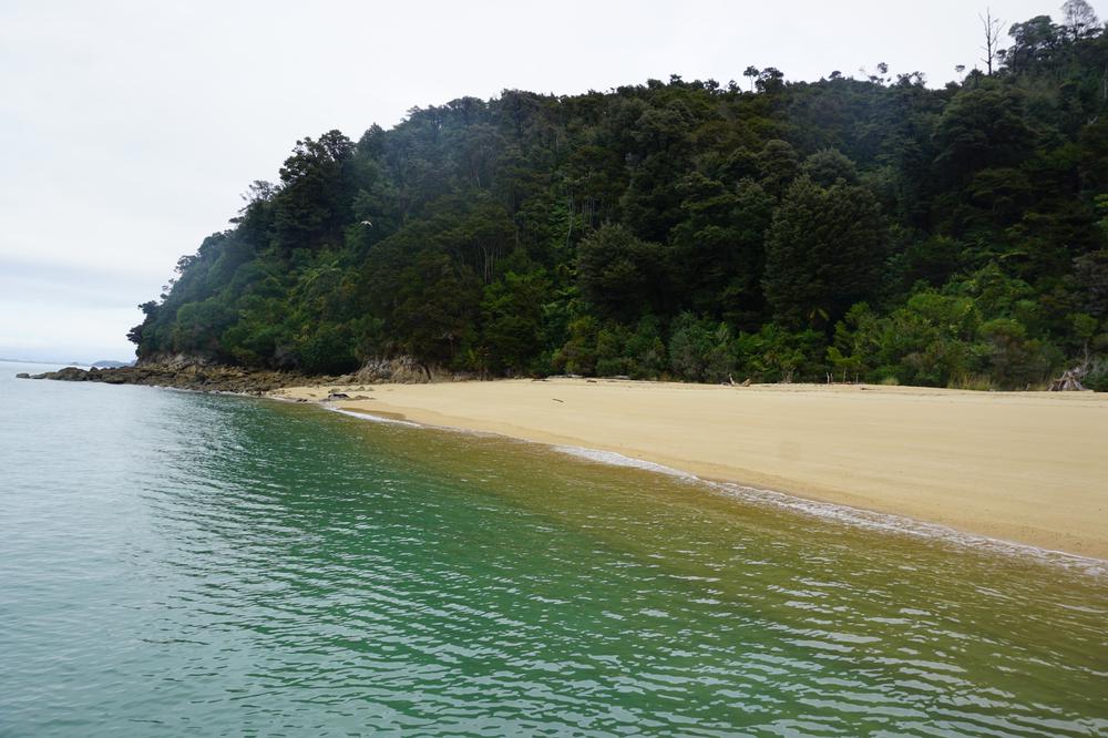 Nelson: Golden sand in Abel Tasman National Park