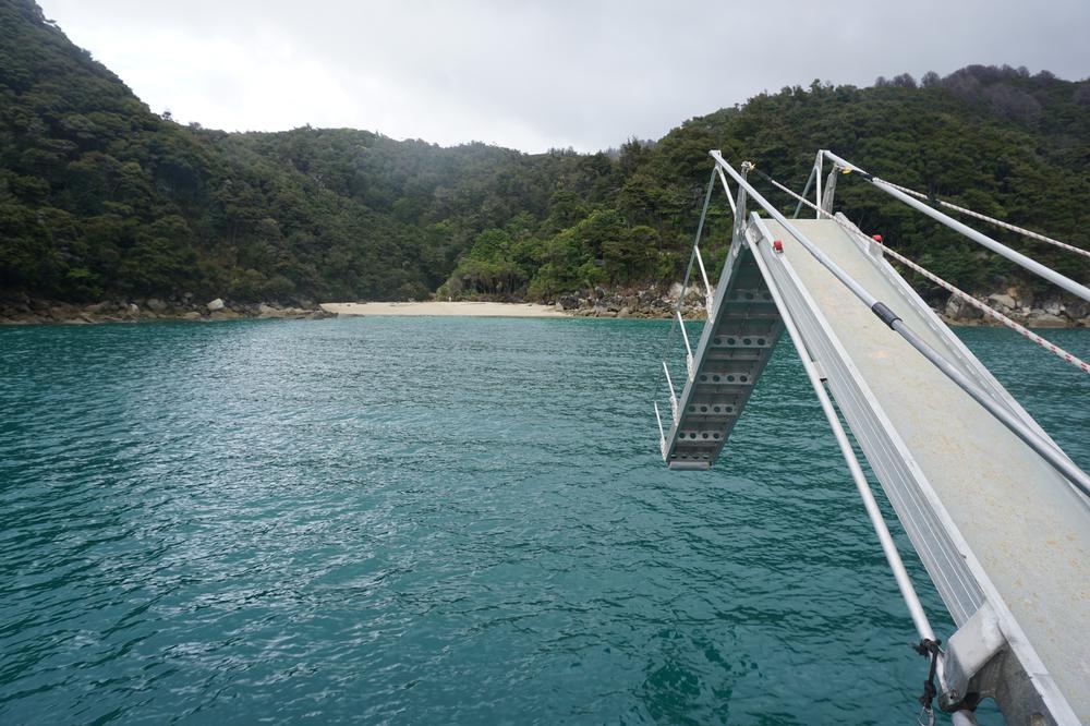 Nelson: Golden sand in Abel Tasman National Park