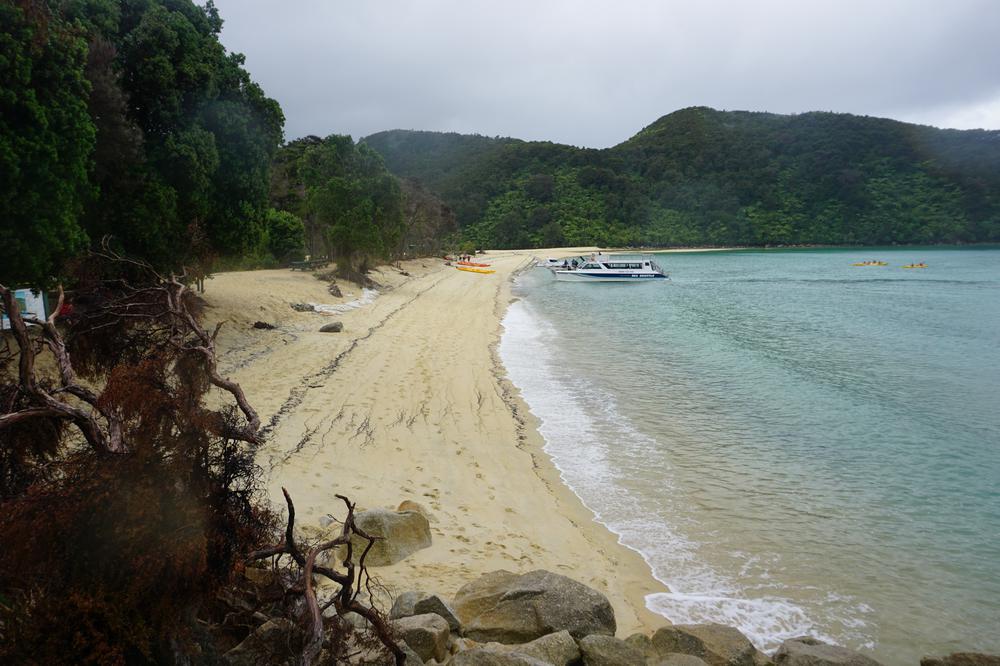 Nelson: Golden sand in Abel Tasman National Park