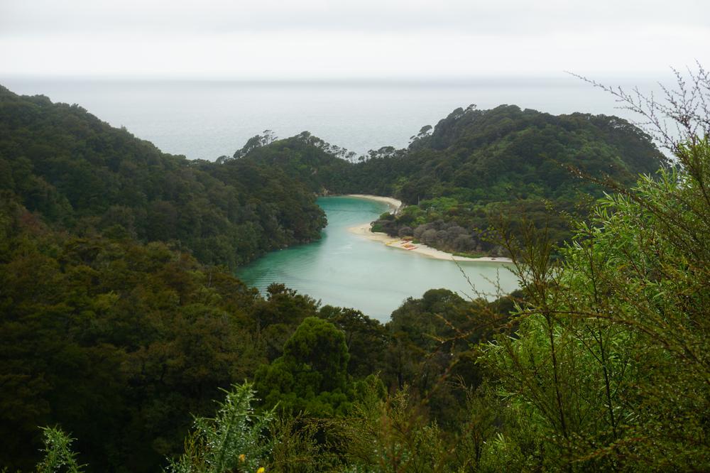 Nelson: Golden sand in Abel Tasman National Park