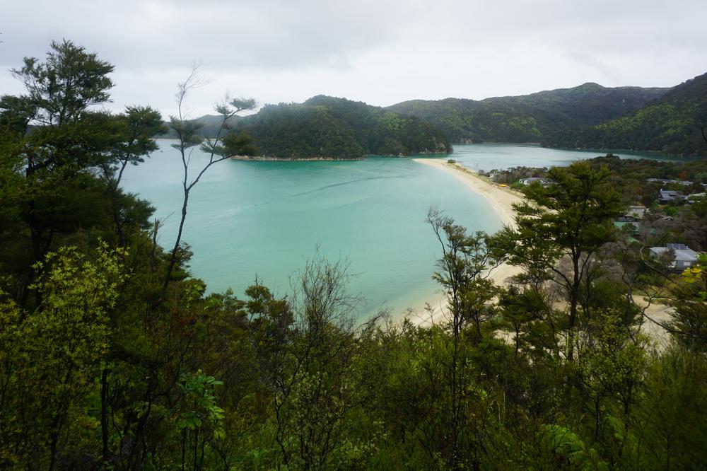 Nelson: Golden sand in Abel Tasman National Park