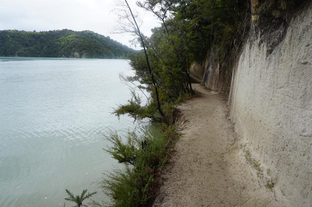 Nelson: Golden sand in Abel Tasman National Park