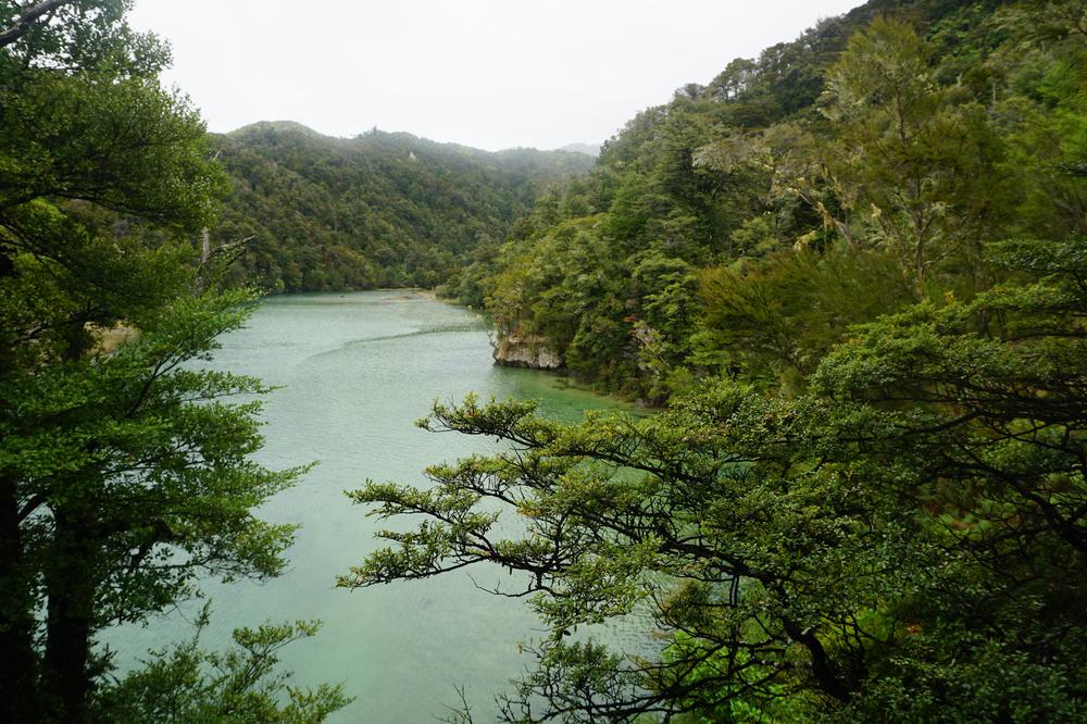 Nelson: Golden sand in Abel Tasman National Park