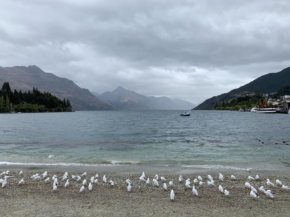 solitary birthday hike in Queenstown