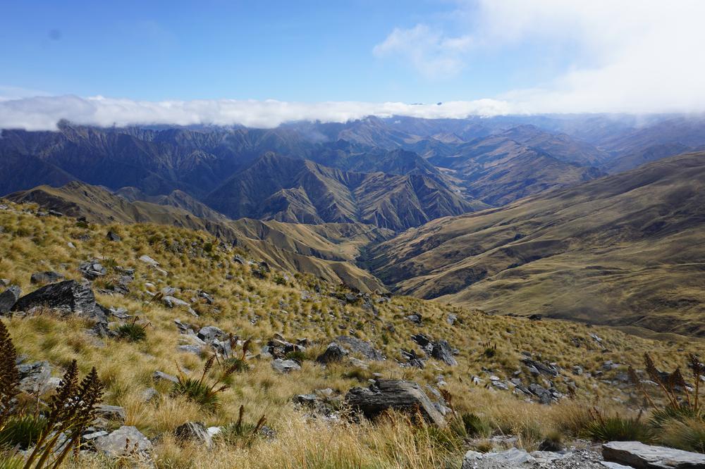 solitary birthday hike in Queenstown