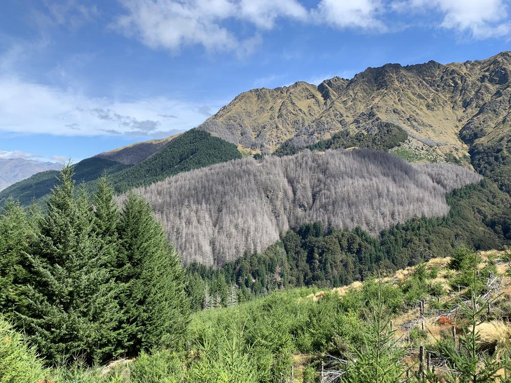 solitary birthday hike in Queenstown