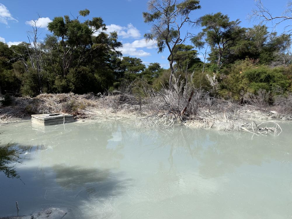 Meeting Maoris in the thermal wonderland Rotorua