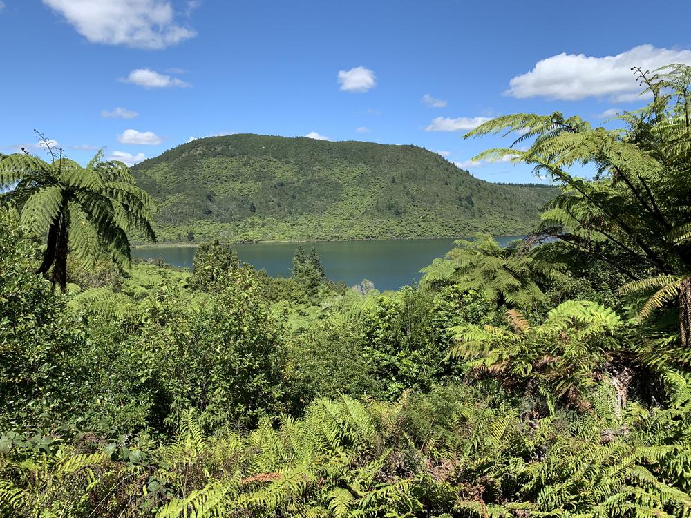 Meeting Maoris in the thermal wonderland Rotorua