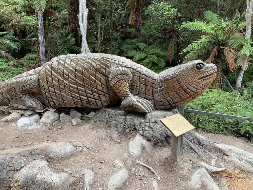 Meeting Maoris in the thermal wonderland Rotorua