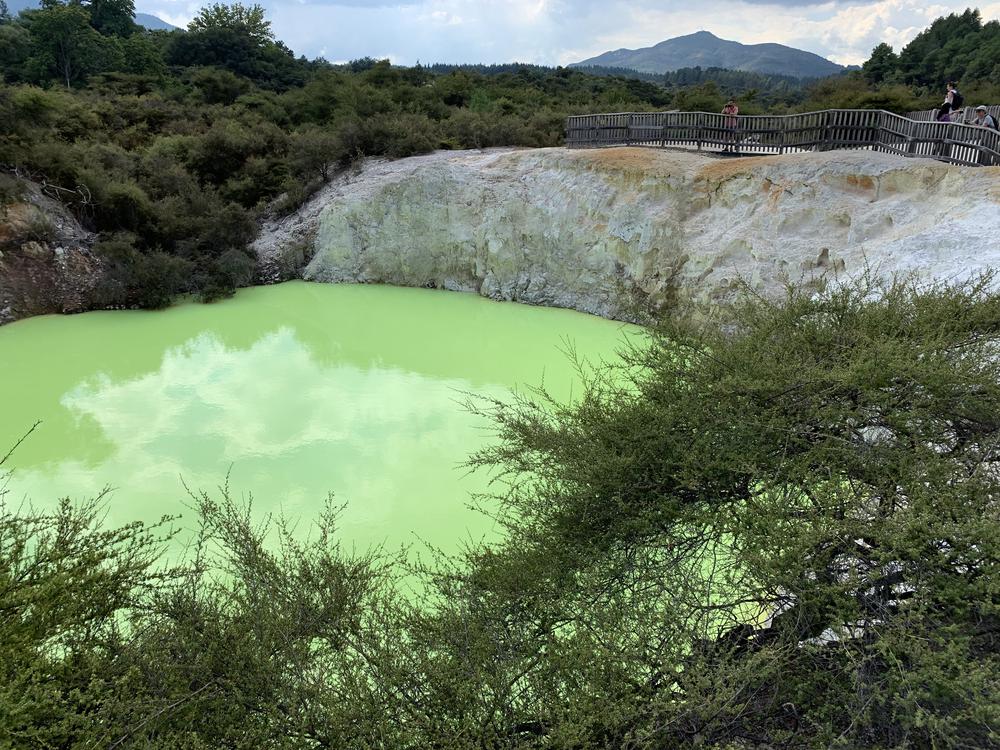 Meeting Maoris in the thermal wonderland Rotorua