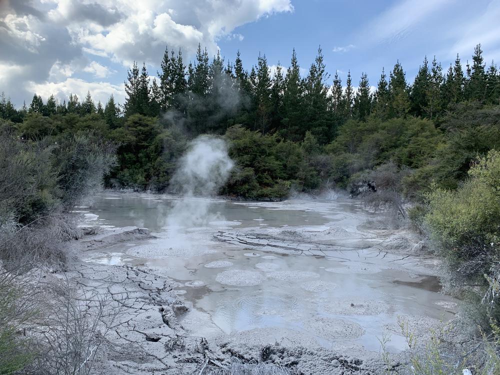 Meeting Maoris in the thermal wonderland Rotorua