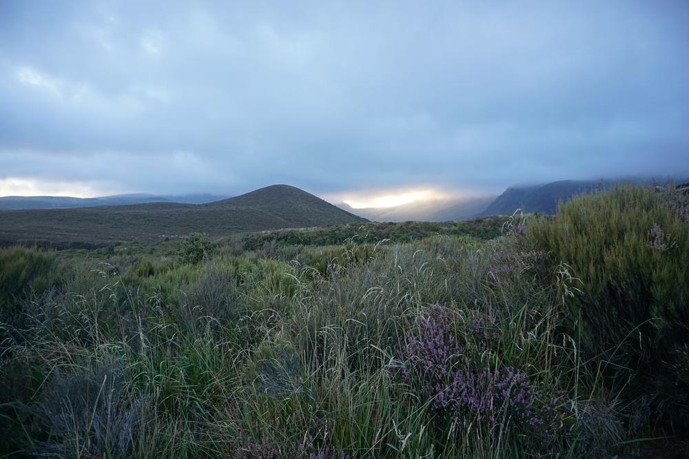 Tongariro Alpine Crossing - The best hike in the world?