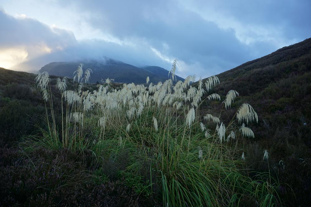 Tongariro Alpine Crossing - The best hike in the world?