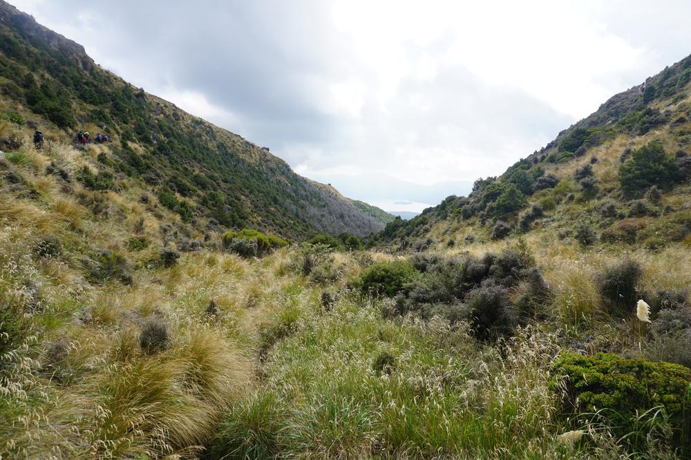 Tongariro Alpine Crossing - The best hike in the world?