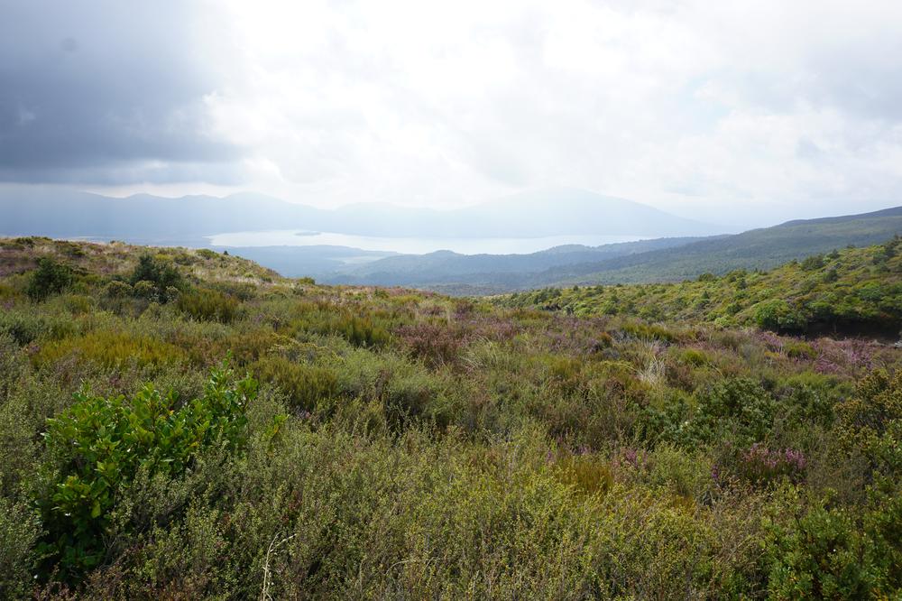 Tongariro Alpine Crossing - The best hike in the world?