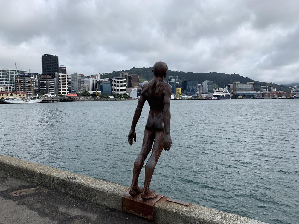 Windy & hipstery Wellington