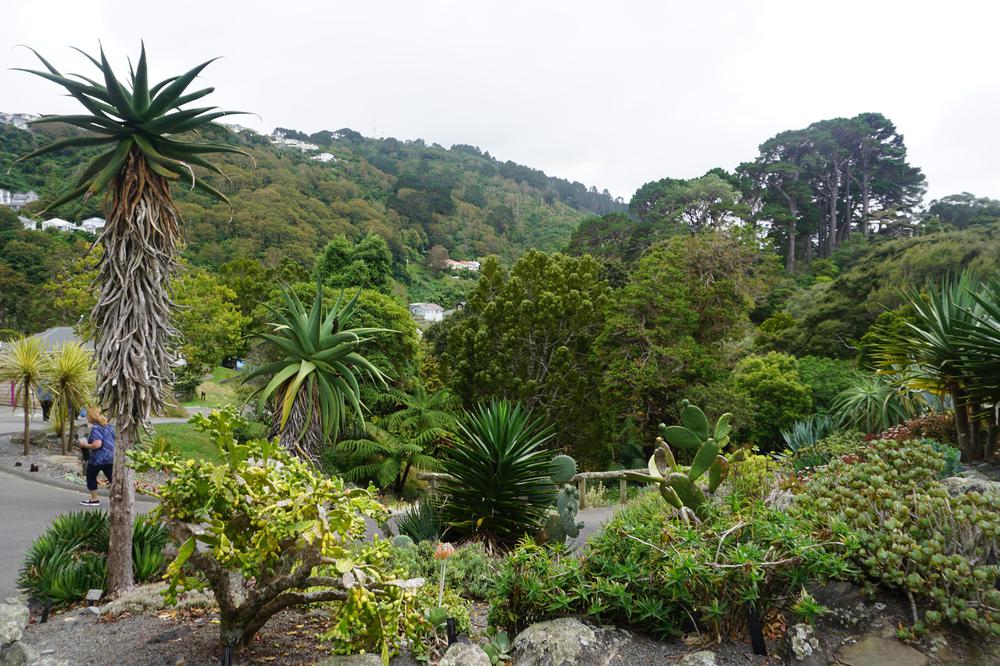 Windy & hipstery Wellington